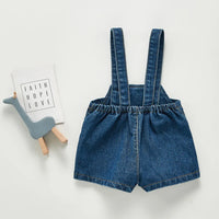 203K04 Blue